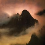 Dead to a Dying World - Elegy Review