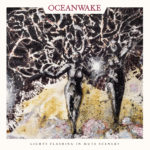 Oceanwake - Lights Flashing in Mute Scenery Review