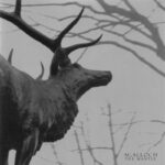 Agalloch - The Mantle 20th Anniversary Review